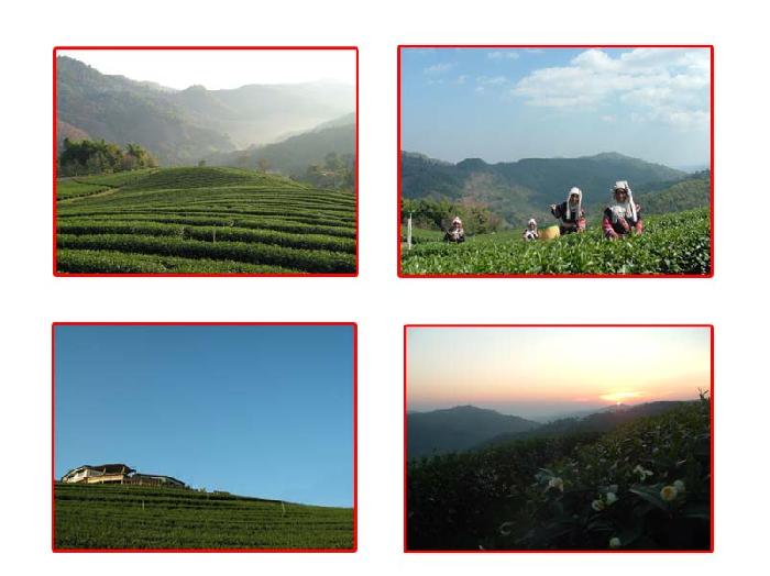 Photo by :: ����101