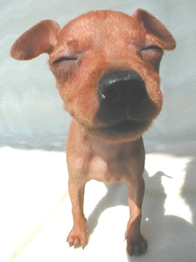 Photo by :: ���ѡ���