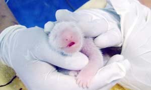 Photo by :: �͹���