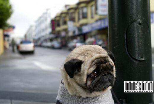 Photo by :: �����