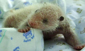 Photo by :: ����ԧ�����ͧ