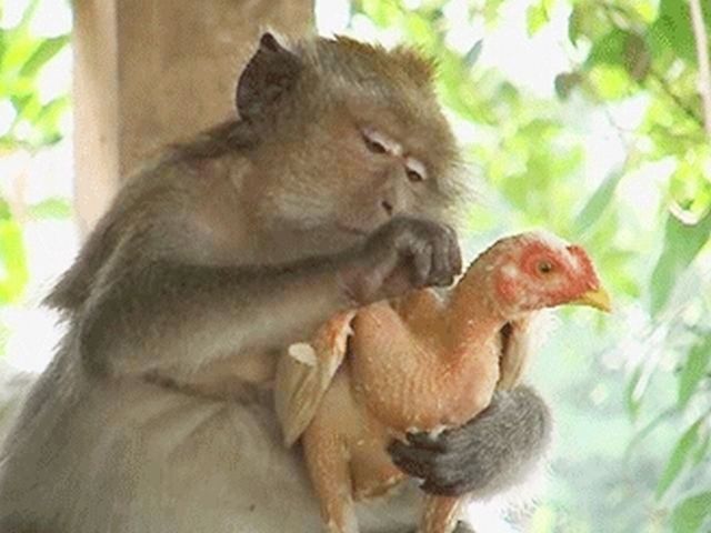 Photo by :: �����