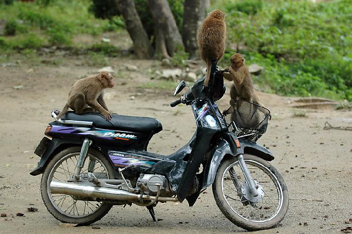 Photo by :: �� �͡���