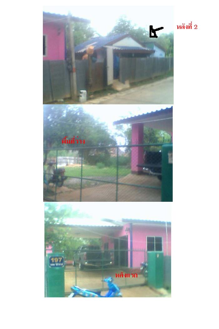 Photo by :: เบริด