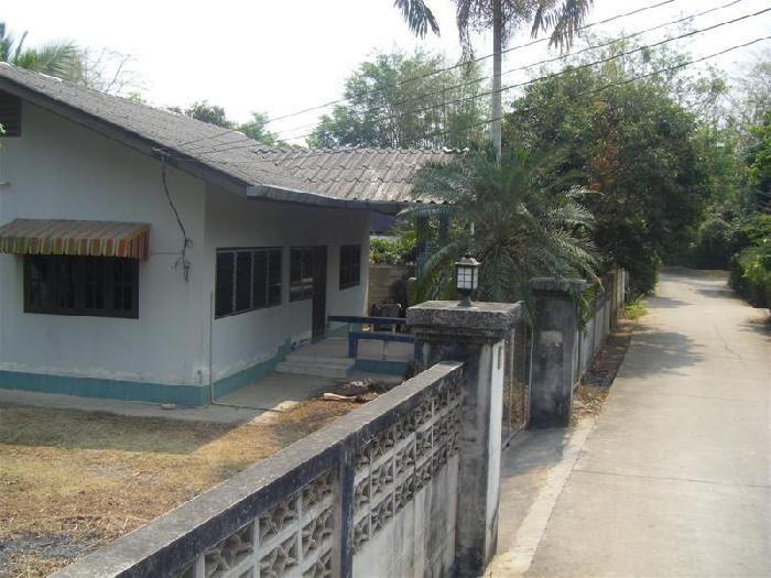 Photo by :: �����