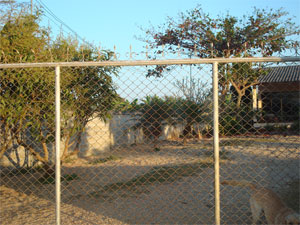 Photo by :: �ѹ��