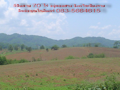 Photo by :: ��Թ���