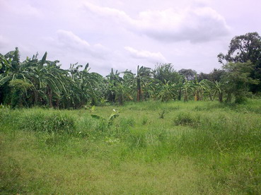 Photo by :: ���ҡ�