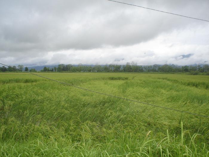 Photo by :: �ԡ���