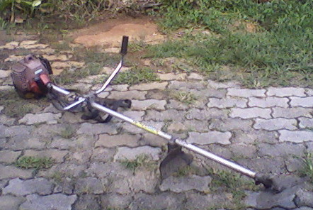 Photo by :: �⹪�