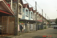 Photo by :: ณัฐวุฒิ ใจบุญ