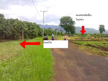 Photo by :: ���