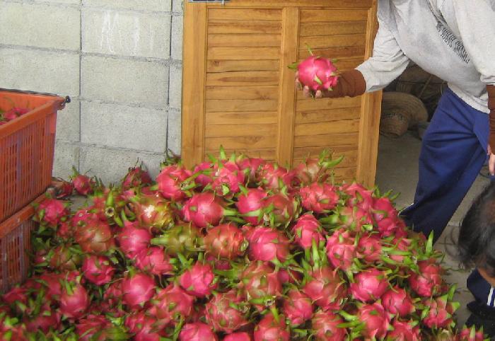 Photo by :: �.˹�