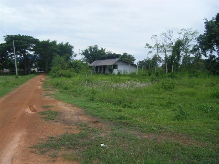 Photo by :: ��¤�Ѻ