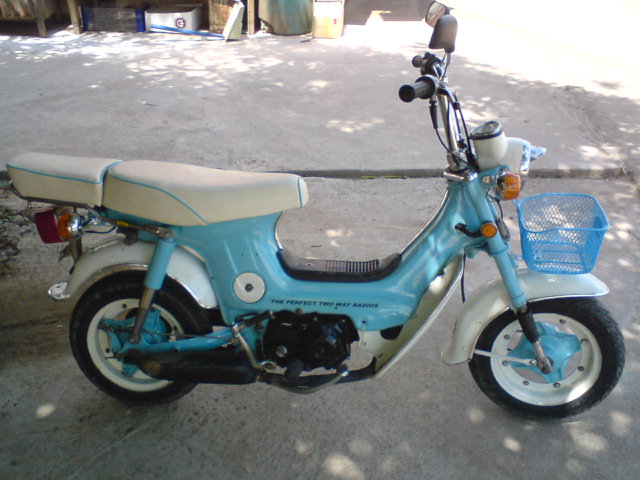 Photo by :: แจ็ก