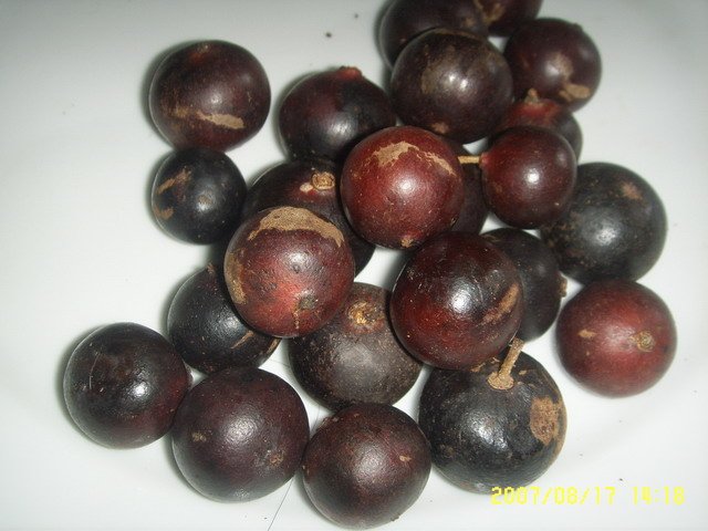 Photo by :: �ӻѹ��