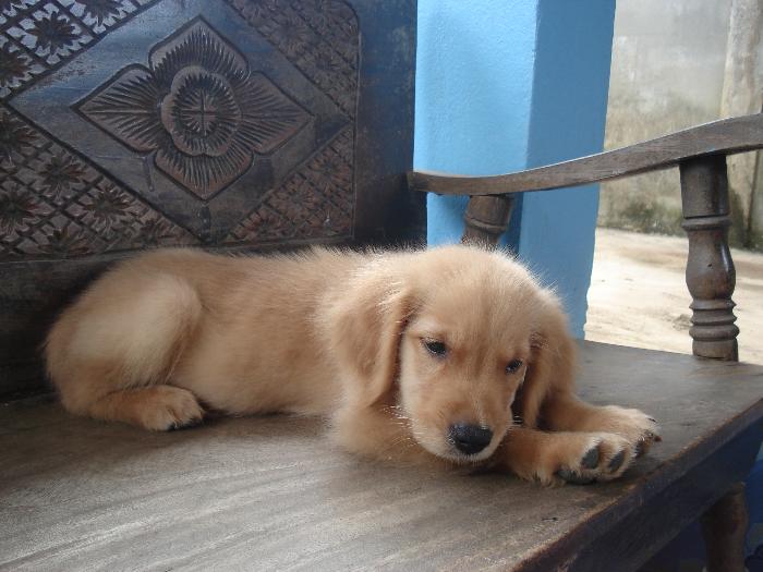 Photo by :: ����